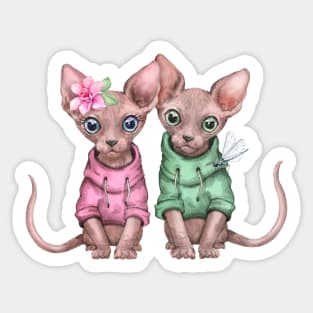 Two cute kittens Sticker